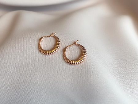 Chato Bari Earring Silver And Rose Gold Online now