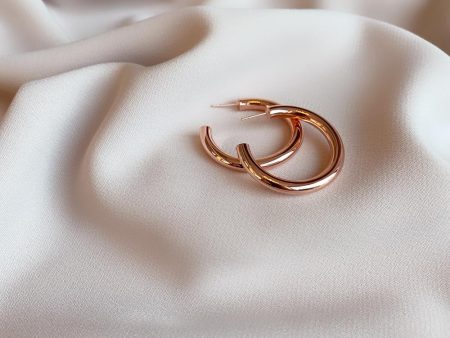 Chato Monza Earring Rose Gold And Silver Cheap