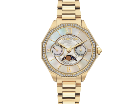 Cerruti Jesina Ladies  Watch Online now